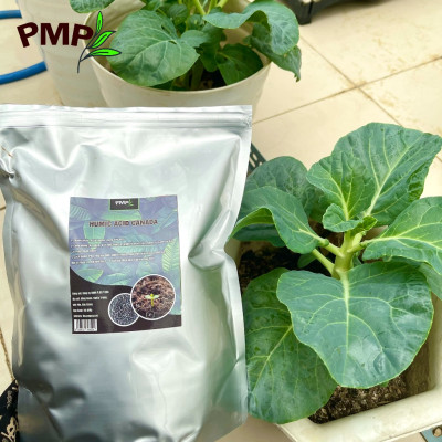 Acid Humic Canada PMP 01Kg