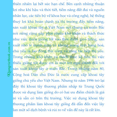 Bí Quyết Thành Công Kĩ Thuật Trồng Khoai Tây Hiệu Quả - KV