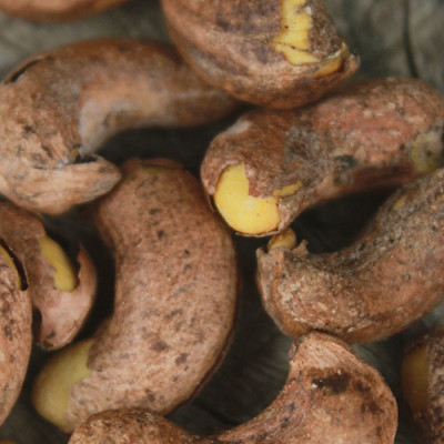 Combo Hạt Điều Rang Muối Vỏ Lụa Hải Long (250g) + Hạt Điều Rang Muối Tách Vỏ Lụa Hải Long (250g)